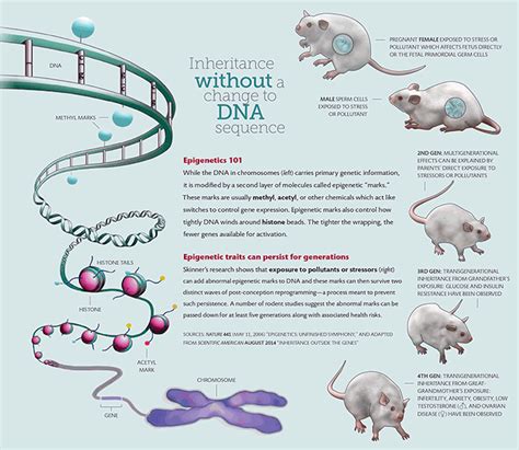 Evolution evolution | Washington State Magazine | Washington State ...