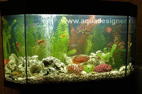 МОСАКВАРИУМ. Аквариум 300 л с искусственными растениями (Аквадизайнер)