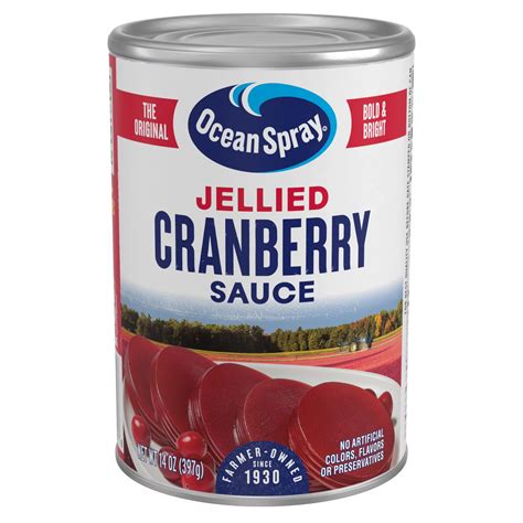 Ocean Spray Jellied Cranberry Sauce - Shop Berries & cherries at H-E-B