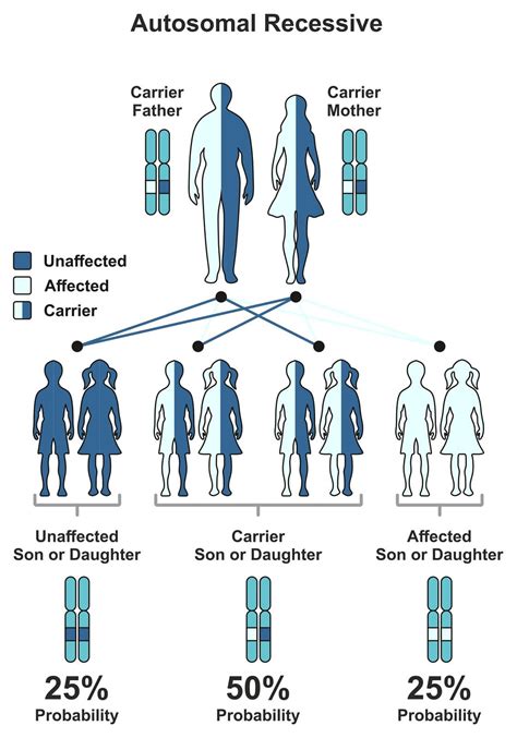 Why Genetic Carrier Screening May Be Recommended