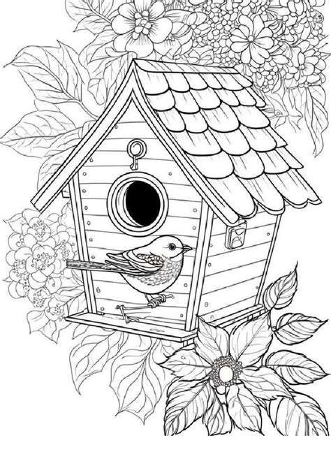 Pin By Mwita On Baw Si Dobrze Bird Coloring Pages Adult Coloring