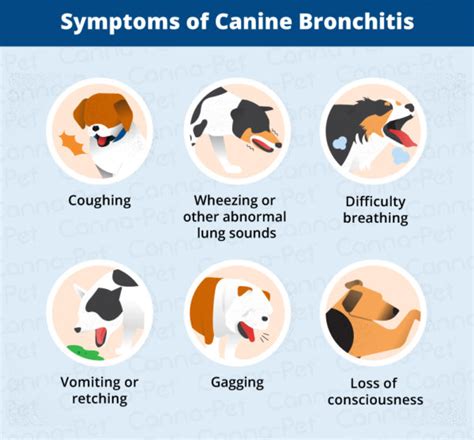 Bronchitis in Dogs: Causes, Signs, & Treatments | Canna-Pet