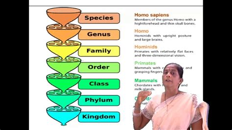 Vdc Iii Bbc Biochemistry 6 Sem 5 Binomial Nomenclature Youtube