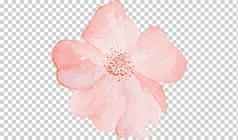 Flor De P Talo Rosa Ilustraci N De Adobe Illustrator Flor Flores