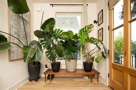 30 Beste Foyer Dekor Ideen Mit Pflanzen Goodgardenthing