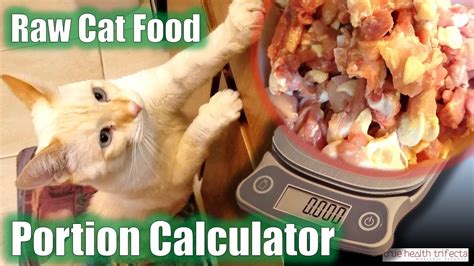 How Much Raw Cat Food Do I Feed My Cat Portion Calculator Tutorial