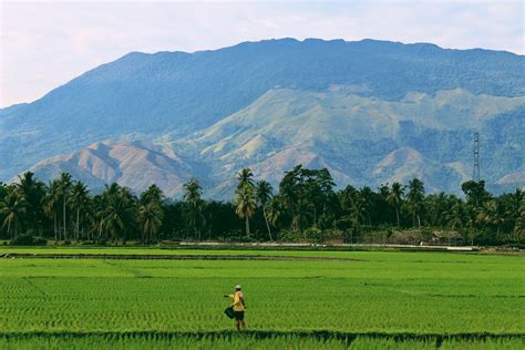 Kupon Pahlawanpangan Menyambut Hari Tani Nasional Blog Kecipir