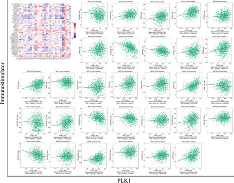 The Immunostimulators Associated With Aberrant Pololike Kinase