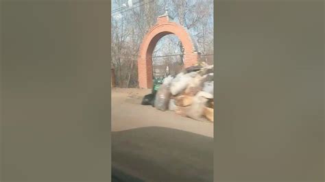 магилы - YouTube