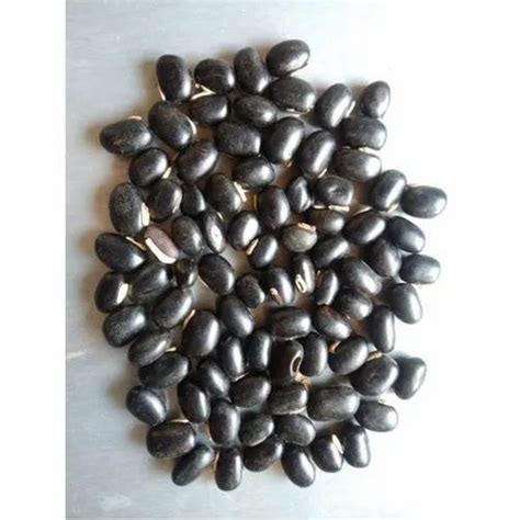 Mucuna Pruriens Black Kaunch Seed For Ayurvedic Packaging Type Bag