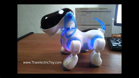 Smart Dog - YouTube