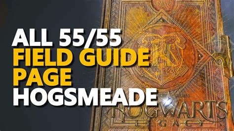 All Hogsmeade Field Guide Page Hogwarts Legacy Youtube