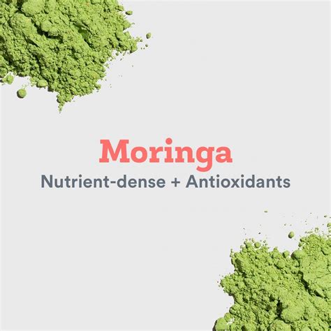 Top Health Benefits Of Moringa Leaf JoyÀ