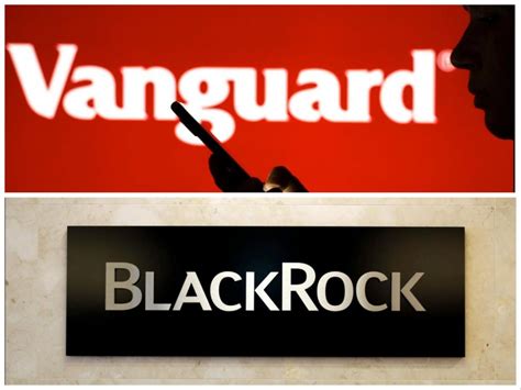 Blackrock Vs Vanguard The World S Biggest Asset Managers Don T See