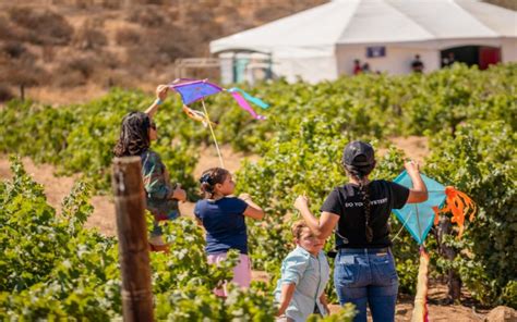 Fiesta de los Viñedos en Flor 2023 Baja California México Ruta Mágica