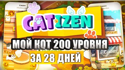 Как получить airdrop от catizen Мой кот 200 уровня за 28 дней аирдроп