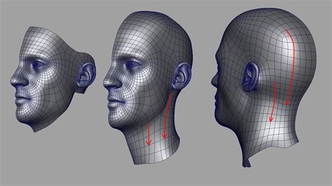 Maya Modeling The Head 3d Character Topology Character