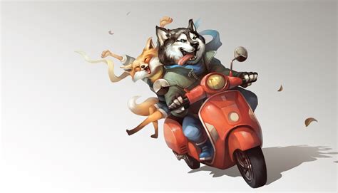 Кот На Мотоцикле Картинки - 59 фото