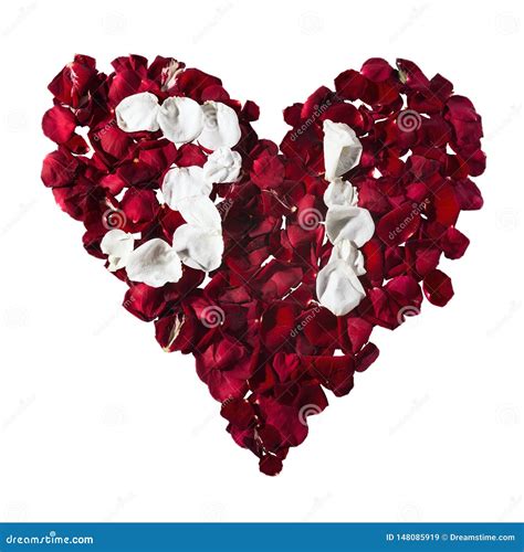 Petals In A Heart Shape The Numbers For The Calendar Stock Image