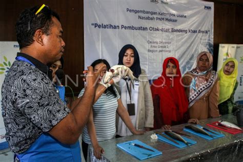 PENGEMBANGAN KELOMPOK USAHA NASABAH PNM MEKAAR ANTARA Foto