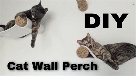 Diy Cat Wall Perchhammockshelf Easy Step By Step Tutorial Youtube