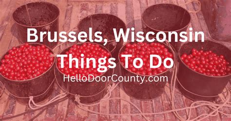 Brussels Wi Things To Do 13 Best In 2025 Activities Attractions