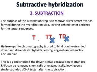 Subtractive Hybridization PPT