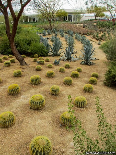 Sunnylands Center and Gardens in Palm Springs