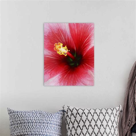 The Stamen Of A Red Hibiscus Flower Wall Art Canvas Prints Framed