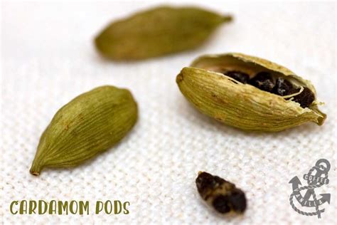 Cardamom Pods » Coffee & Vanilla