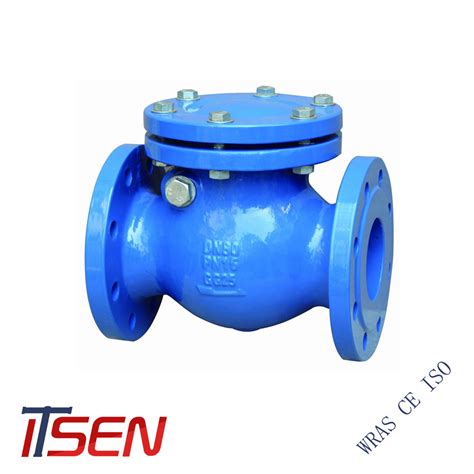 Ul Fm Cast Iron Swing Check Valve China Dual Plate Check Valve And