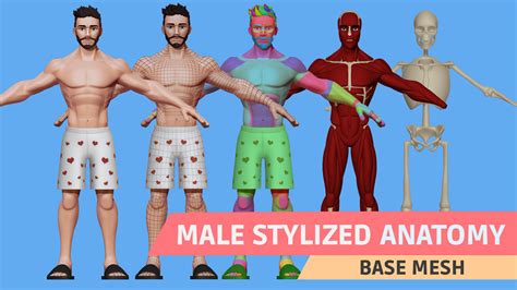 Artstation Male Stylized Anatomy Base Mesh Resources