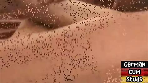 Sementales Alemanes Amateur Disfrutan De Una Org A A Pelo En Una Cama De L Tex Xhamster