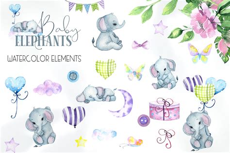 Cute Baby Elephants. Watercolor collection By Ana Sakuta | TheHungryJPEG