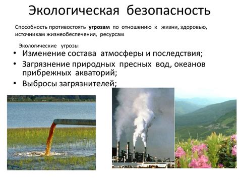 Экология и экологическая безопасность - презентация онлайн