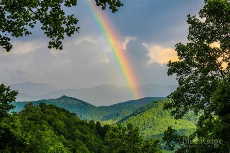 Spring in the Blue Ridge Mountains - Blue Ridge Mountain Life