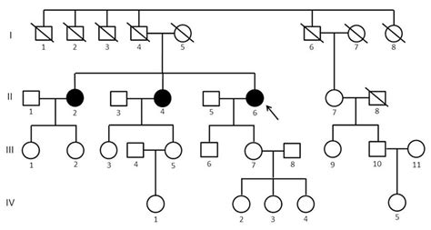 Portuguese family with a novel CCM1 mutation. The arrow indicates the ... 