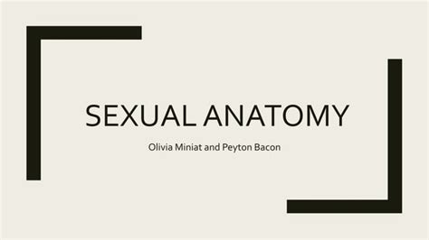 Sexual Anatomy Pp Ppt