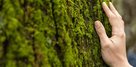 Eco-friendly Driving: Save Fuel & The Environment - Rated Driving 