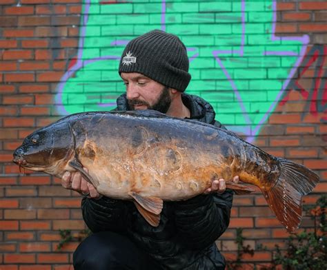 Hot Crab Krill Boilies Dynamite Baits