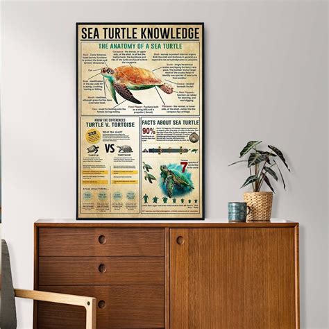 Sea Turtle Knowledge Poster Sea Turtle Lover Gift All About Etsy