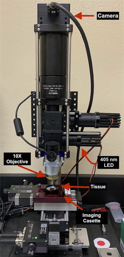 Fluorescence Imitating Brightfield Imaging Fibi Microscope Setup A Download Scientific