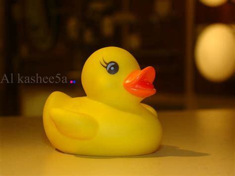 Cute Ducky Taken By Meee ♥al Kashee5a♥ In London Flickr