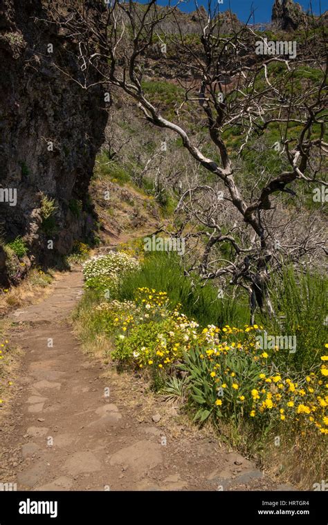 Hiking on madeira hi-res stock photography and images - Alamy