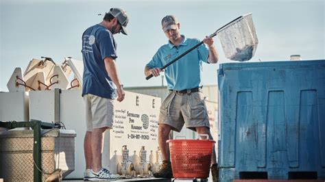 Pond Fish Feeder Options and Points to Consider | Great Days Outdoors