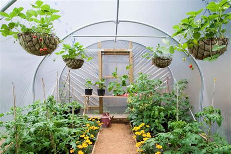 Timelapse diy high tunnel greenhouse – Artofit