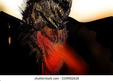 Ink Illustrated Angry Fire Dragon Stock Illustration 1539002618 | Shutterstock