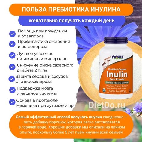 Инулин — польза и вред, инструкция по применению и какой лучше купить ...