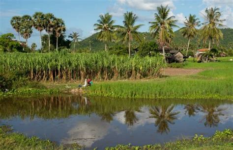 7 Reasons To Visit Battambang, Cambodia | Rough Guides