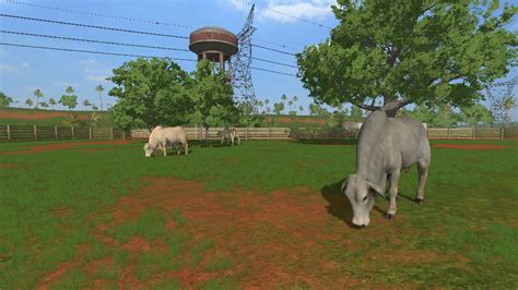 How To Water Cows Fs19